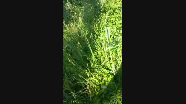 Magagna91 05-05-2024 Recorded Video Pretty