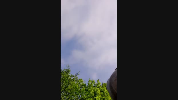 SlutboyBen 05-05-2024 Recorded Video lick