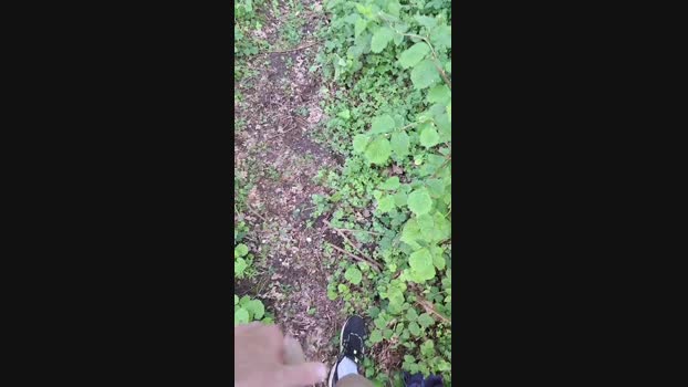 hotbody18y 05-05-2024 Recorded Video naughty
