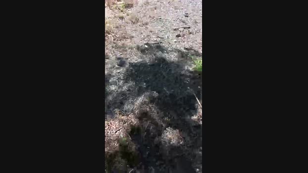 marcoroma57 05-05-2024 Recorded Video juicy