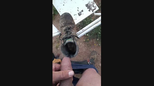 osopajas2 04-05-2024 Recorded Video beautiful