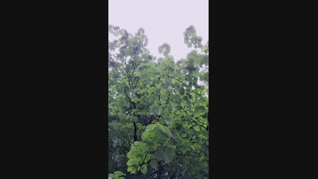 SlutboyBen 06-05-2024 Recorded Video Ass