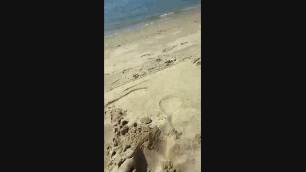 babiscam 07-05-2024 Recorded Video deep