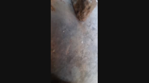 El_ceco 07-05-2024 Recorded Video nude