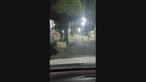 fireface29 08-05-2024 Recorded Video gag