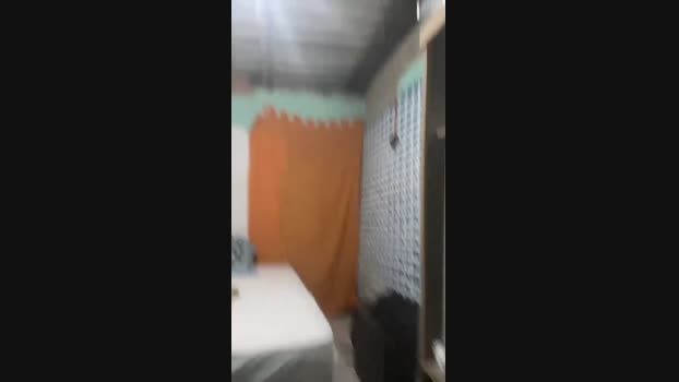 fusil4 08-05-2024 Recorded Video toy