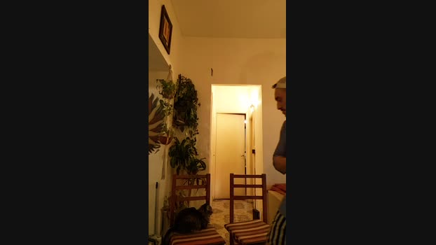 Asocaloides2 08-05-2024 Recorded Video Pretty