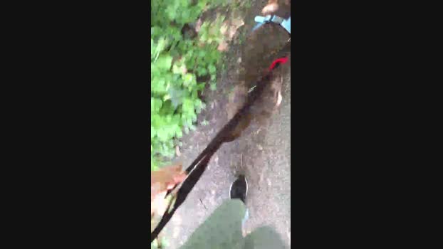 Hairlessoldman 09-05-2024 Recorded Video Nude