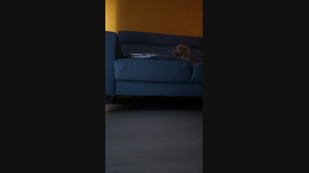 a126604737 09-05-2024 Recorded Video bigballs