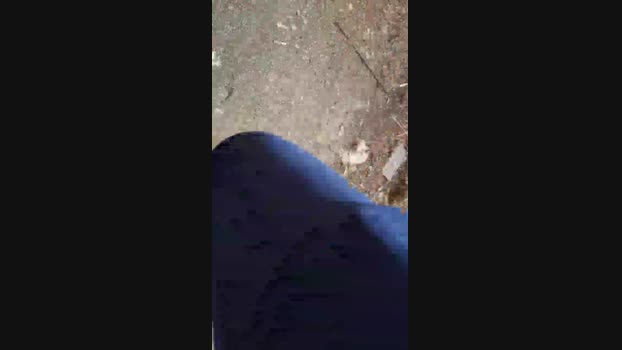 Top_man 10-05-2024 Recorded Video horny