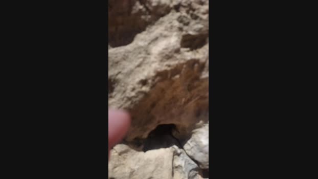 AssVhot 11-05-2024 Recorded Video natural