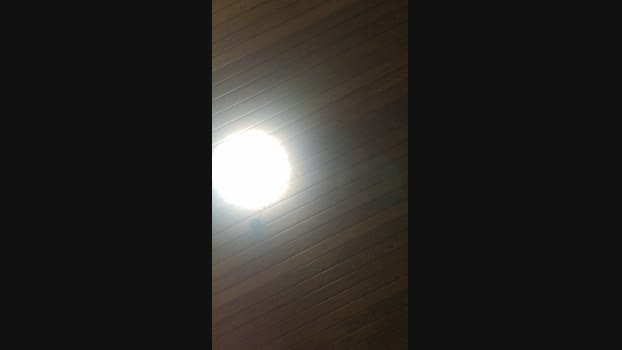 Doperman 11-05-2024 Recorded Video kissing