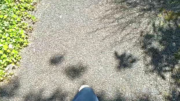FrenchDonneLoad 11-05-2024 Recorded Video fuckass