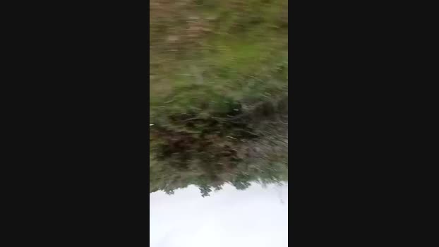 Gastea1 12-05-2024 Recorded Video fuck