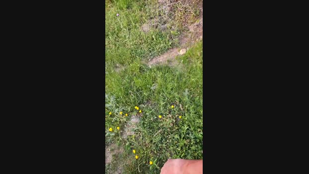max18018 12-05-2024 Recorded Video Ass