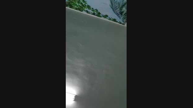 purugly 12-05-2024 Recorded Video fuck