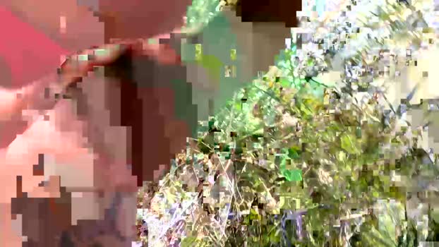 Danyblack1985 14-05-2024 Recorded Video fuck