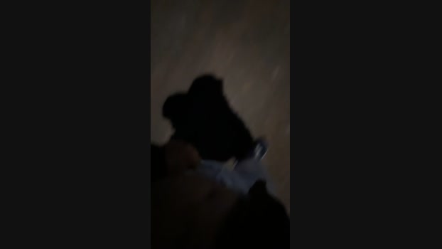 Porketo1 13-05-2024 Recorded Video squirt