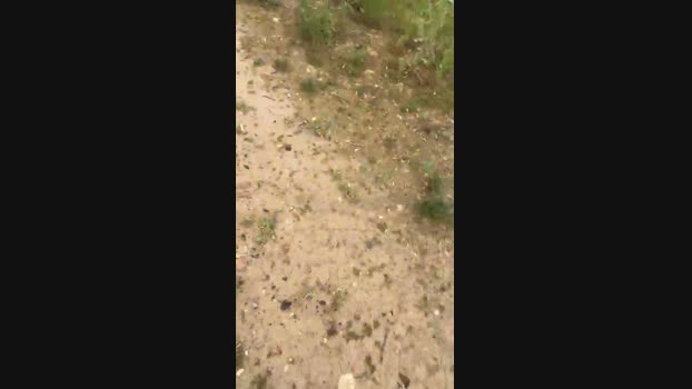Cederre_ 14-05-2024 Recorded Video Porn