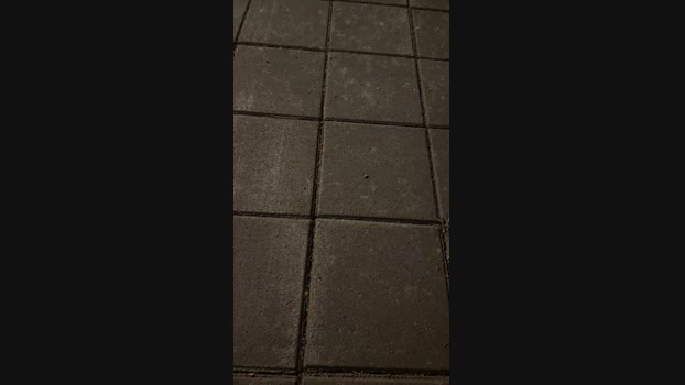Foxfoxfox 15-05-2024 Recorded Video prettyface