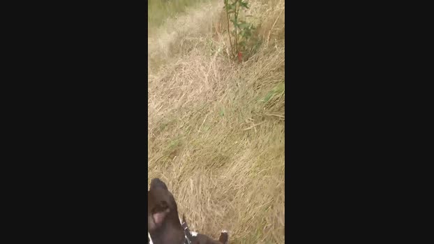 Magagna91 15-05-2024 Recorded Video bigload