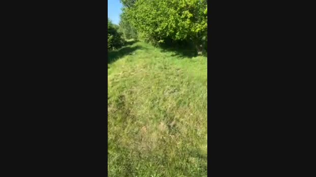 Zeigegeiler69 15-05-2024 Recorded Video bigload