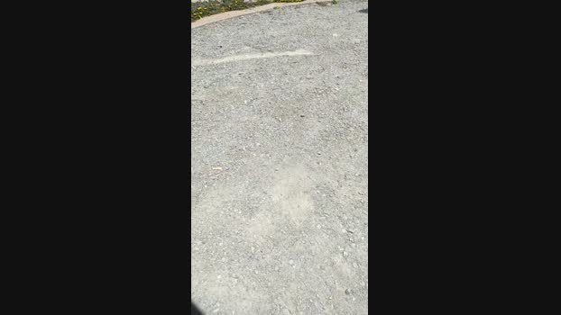 Cachondo23cms 16-05-2024 Recorded Video Ass