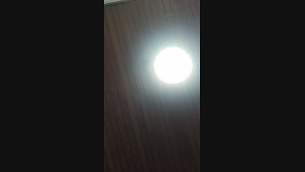 Doperman 15-05-2024 Recorded Video Show