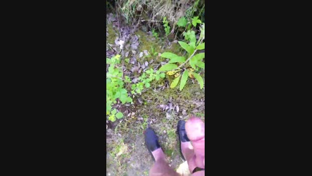 elblover 16-05-2024 Recorded Video Porn