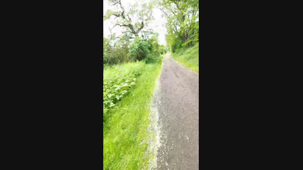 pegg_cunilingus 16-05-2024 Recorded Video sexykitty