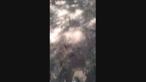 putorj19 16-05-2024 Recorded Video sexykitty