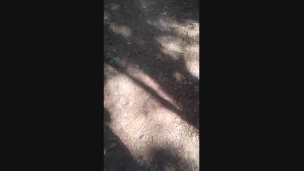 putorj19 16-05-2024 Recorded Video orgasm