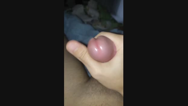 Anonimopressao 18-05-2024 Recorded Video suckcock