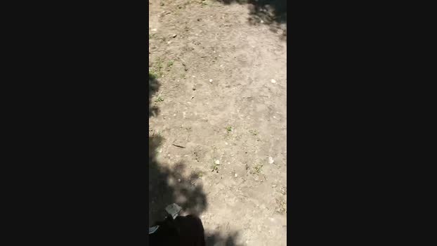 Magagna91 18-05-2024 Recorded Video Ass