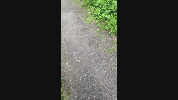 Minipic 18-05-2024 Recorded Video sexybody