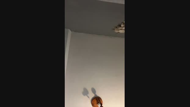 cristian3267 18-05-2024 Recorded Video legs