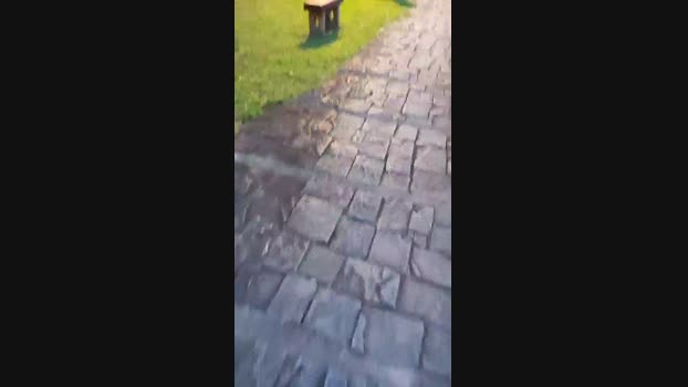 guysex_hot 17-05-2024 Recorded Video Video