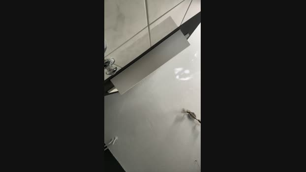 CumAddicted94 19-05-2024 Recorded Video lush