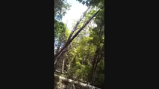 Itzmeebaby 20-05-2024 Recorded Video Video