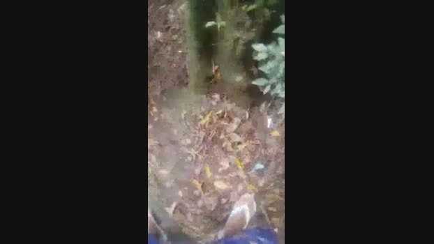 putorj19 20-05-2024 Recorded Video harddick
