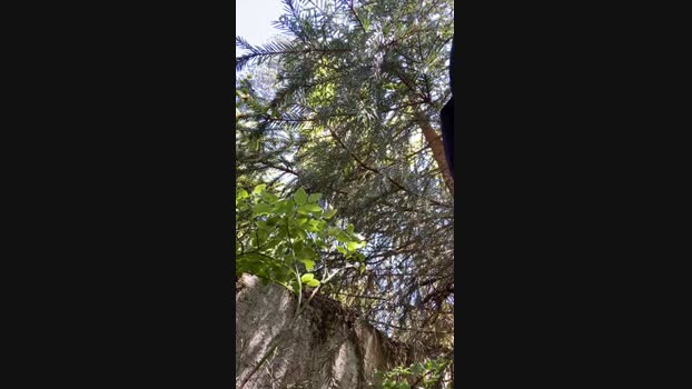 stefanoeverlan1 21-05-2024 Recorded Video fingers