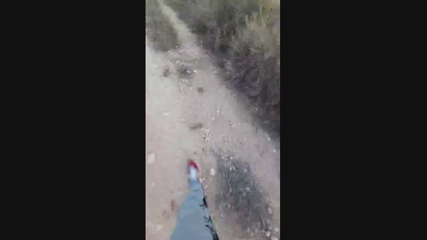 El_ceco 21-05-2024 Recorded Video naked