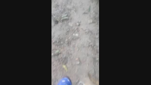 putorj19 21-05-2024 Recorded Video prettyface