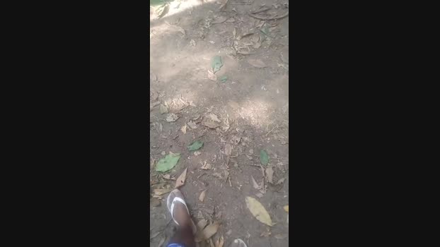 putorj19 21-05-2024 Recorded Video bigtoys