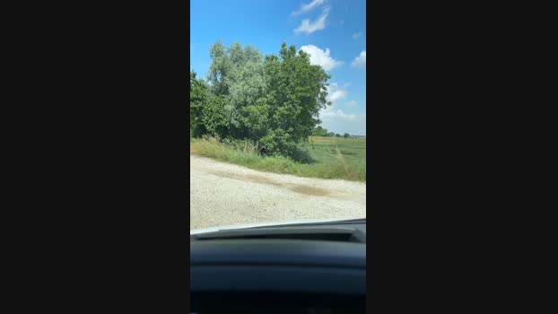 Edward_venezia 23-05-2024 Recorded Video squirt