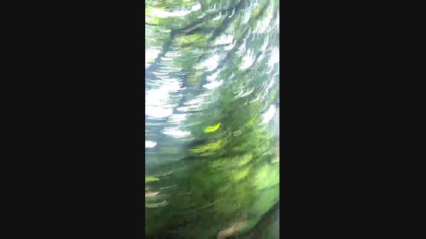 Saarbimen666 23-05-2024 Recorded Video Video