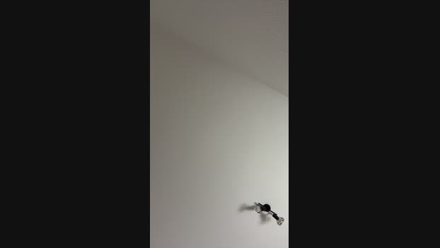 ThorOdinson03 22-05-2024 Recorded Video sex