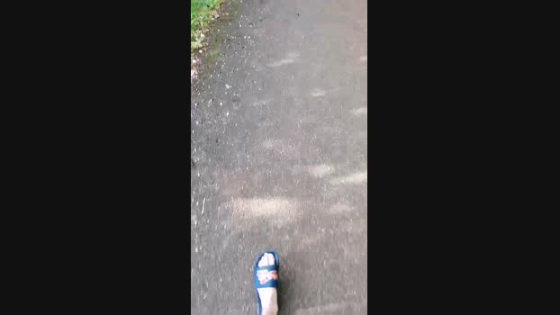 ichwilldich881