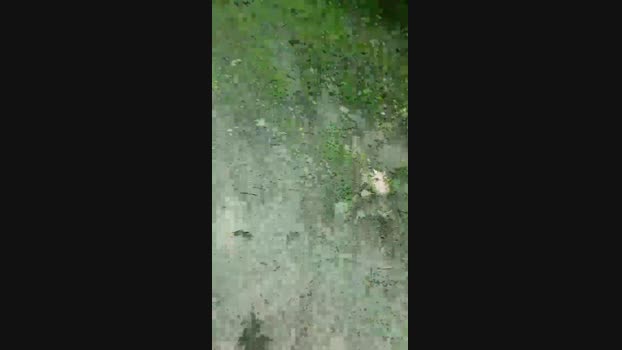 keiseruniv5 23-05-2024 Recorded Video gag