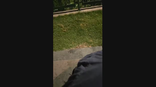 pollen_07 22-05-2024 Recorded Video fuckface